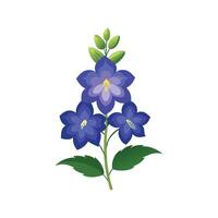 Elegant Delphinium Plant Artwork vector
