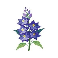Charming Delphinium Plant Illustration vector