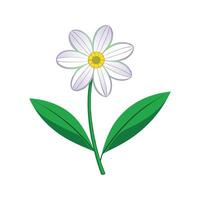 Elegant Eyebright Flower with Artistic Touch vector