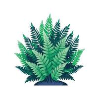 Vibrant Fernbush Plant Design with Unique Blooms vector