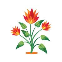 Charming Firecracker Plant with Bright Colors vector