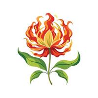 Charming Flame Lily with Distinct Features vector