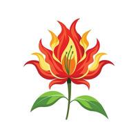 Charming Flame Lily Design vector