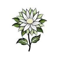 Elegant Flannel Flower Design with Soft Blooms vector