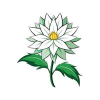 Charming Flannel Flower with Unique Appearance vector