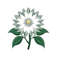 Stunning Flannel Flower with Colorful Representation vector
