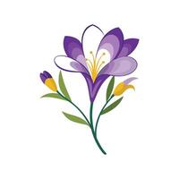 Elegant Freesia Flower Design with Colorful Blooms vector
