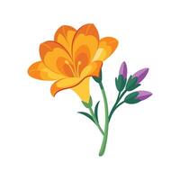 Charming Freesia Plant with Unique Features vector