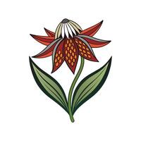 Elegant Fritillary Plant Design. vector
