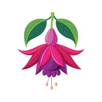 Charming Fuchsia Flower with Unique Shape vector