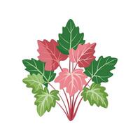 Stunning Fuchsia Flower Design with Unique Features vector