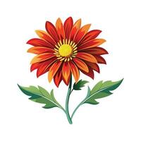 Elegant Gaillardia Flower with Colorful Design vector