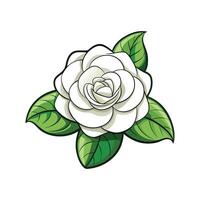 Gardenia Flower Design with Fragrant Blooms vector