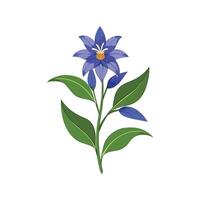 Stunning Gentiana Plant Design with Unique Blooms vector