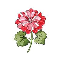 Vibrant Geranium Flower Design with Unique Features vector