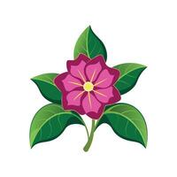 Stunning Gloxinia Plant Design with Unique Blooms vector