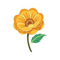 Charming Golden Poppy with Unique Features vector