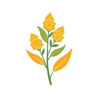 Charming Goldenrod Plant with Unique Features vector