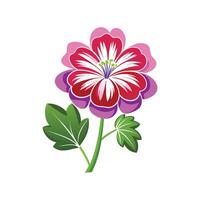 Charming Hardy Geranium with Colorful Blooms vector