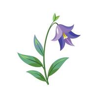 Charming Harebell Flower with Colorful Blooms vector