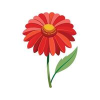 Elegant Helenium Flower with Colorful Blooms vector