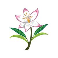 Stunning Hesperantha Flower Design with Bright Colors vector