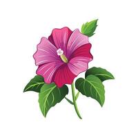 Elegant Hollyhock Flower Illustration. vector