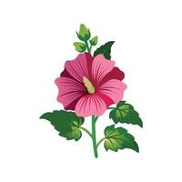Beautiful Hollyhock Flower Design vector