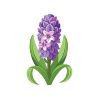 Charming Hyacinth Plant with Unique Features vector