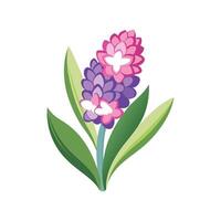 Elegant Hyacinth Flower Design with Striking Appearance vector
