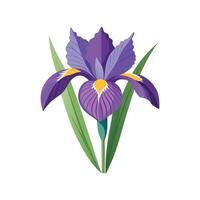 Stunning Iris Flower Design with Vibrant Colors vector