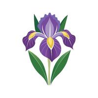 Stunning Japanese Iris Flower Design with Bright Colors vector