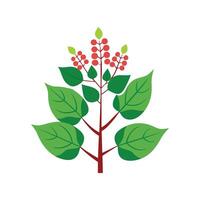 Stunning Japanese Knotweed Design with Bright Colors vector