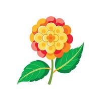 Vibrant Lantana Flower Design with Unique Features vector