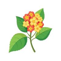 Charming Lantana Camara Plant Design vector