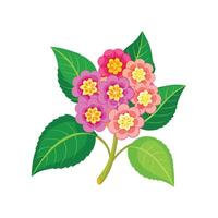 Stunning Lantana Plant Design with Unique Features vector