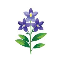 Charming Larkspur Plant with Unique Features vector
