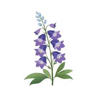 Elegant Larkspur Flower Design with Striking Blooms vector