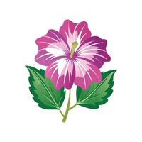 Lavatera Flower Design with Unique Features vector