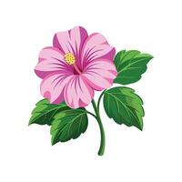 Stunning Lavatera Plant Design with Unique Features vector