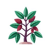 Charming Leptosiphon Plant Design vector