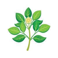 Charming Leafy Spurge with Colorful Blooms vector