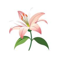 Lily Flower Design with Unique Features vector