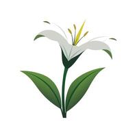 Charming Lily of the Nile with Colorful Blooms vector