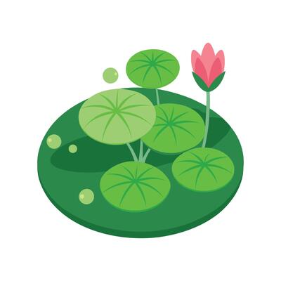 Stunning Lily Pad Plant with Unique Blooms