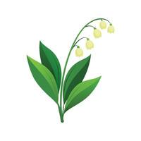 Charming Lily of the Valley with Colorful Blooms vector