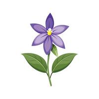 Charming Lobelia Erinus with Colorful Blooms vector