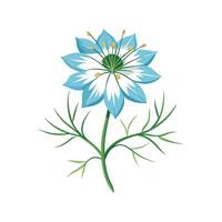 Elegant LoveinaMist Flower Design with Striking Appearance vector