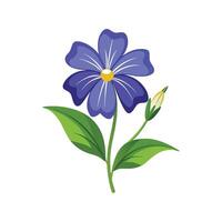 Elegant Magnolia Flower Design with Striking Appearance vector