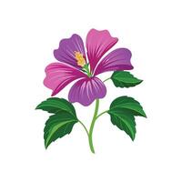 Beautiful Malva Plant Design with Colorful Blooms vector